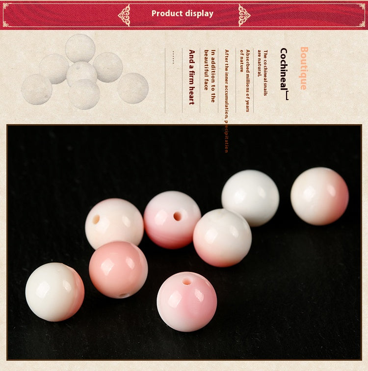 Rose Shell