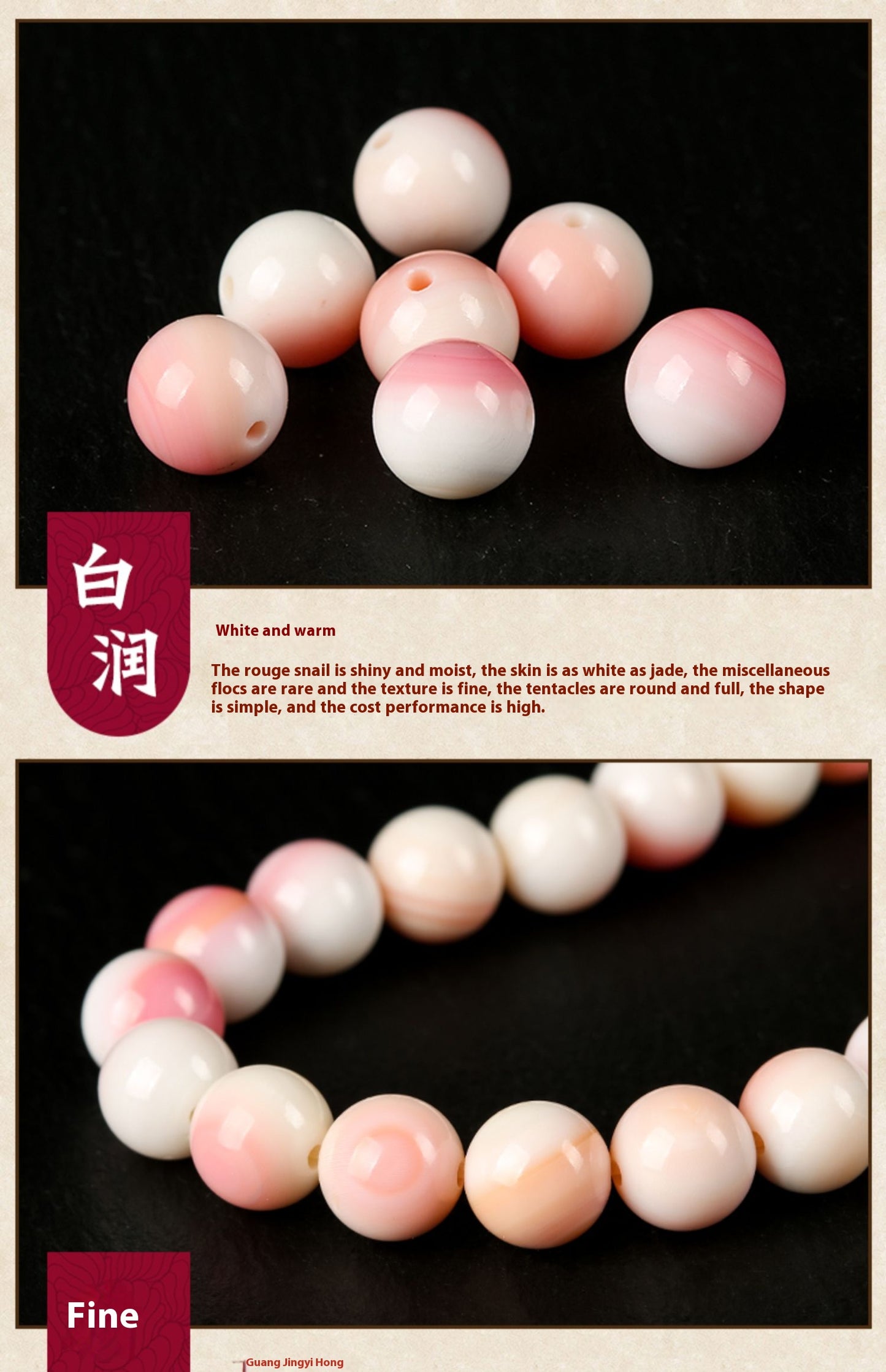 Rose Shell