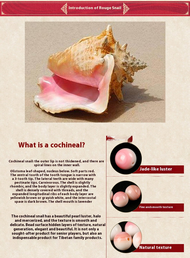 Rose Shell