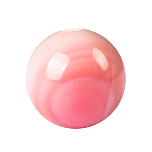 Rose Shell