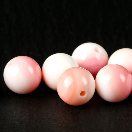 Rose Shell